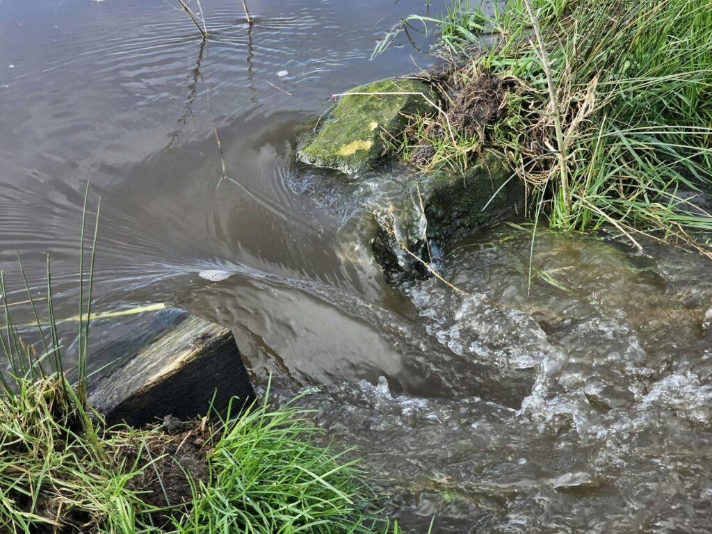 Overflowing sewage in water