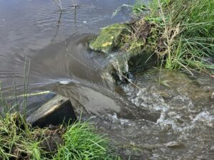 Overflowing sewage in water