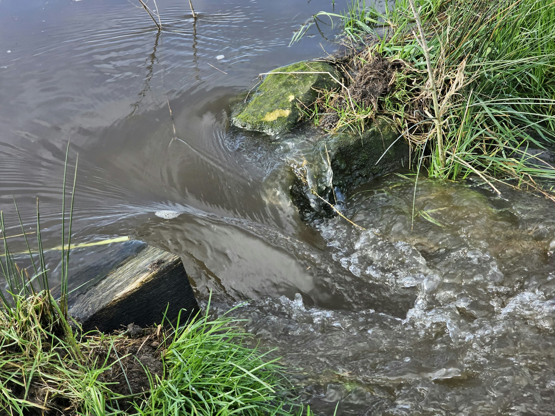 Overflowing sewage in water